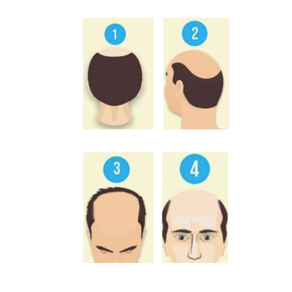 Hair Guide